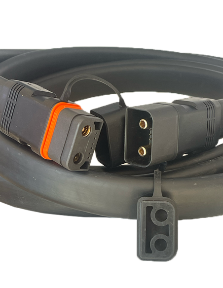 Cable CAN BUS Momentum - 3m